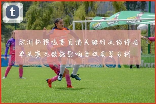 欧洲杯预选赛直播关键对决伤停名单及赛况数据影响晋级前景分析