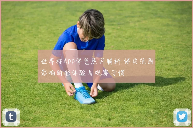 世界杯App停售原因解析 停卖范围影响购彩体验与观赛习惯