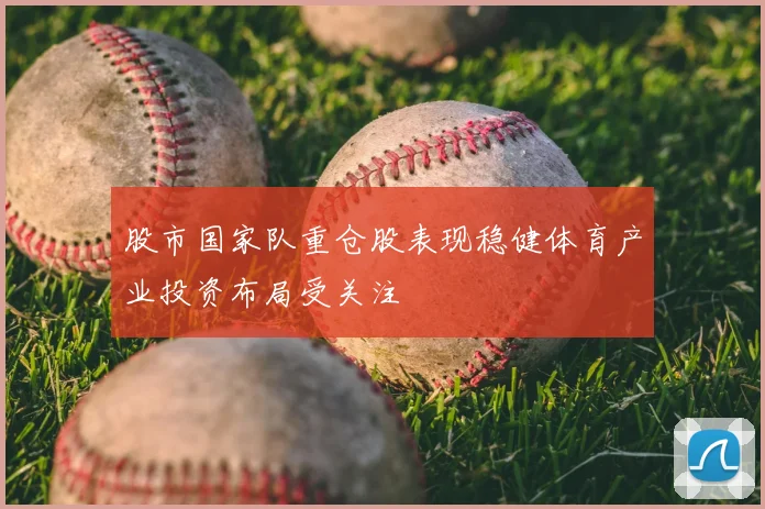 股市国家队重仓股表现稳健体育产业投资布局受关注
