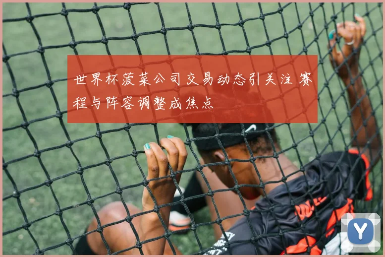 世界杯菠菜公司交易动态引关注 赛程与阵容调整成焦点